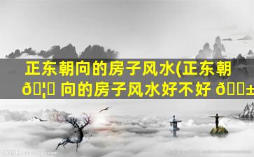 正东朝向的房子风水(正东朝 🦍 向的房子风水好不好 🐱 )